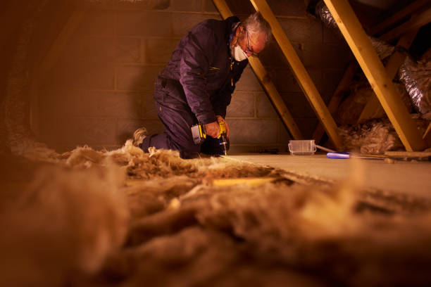 Best Insulation Maintenance and Repair in Fairbanks, AK